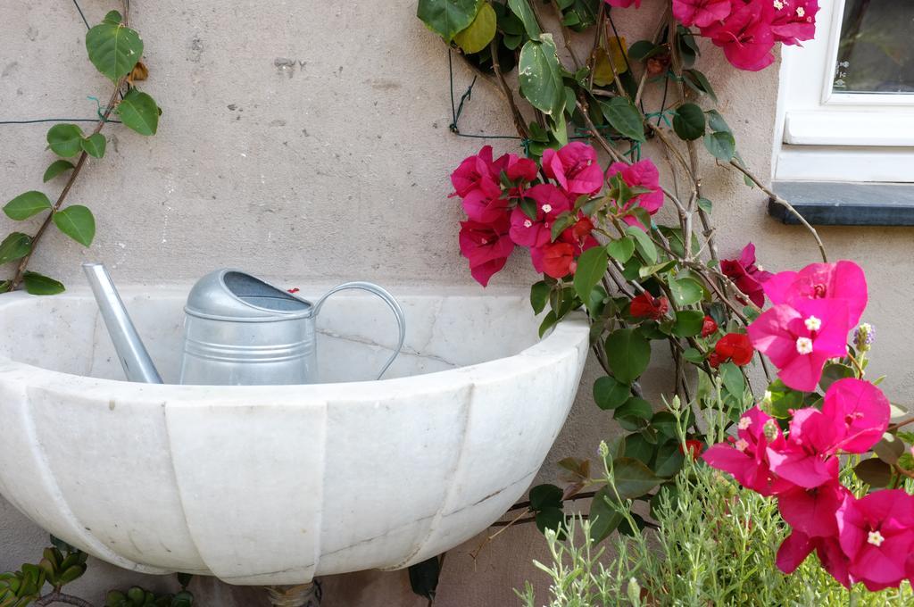 ונטימיגליה La Terrazza Di Vico Olivi B&B מראה חיצוני תמונה